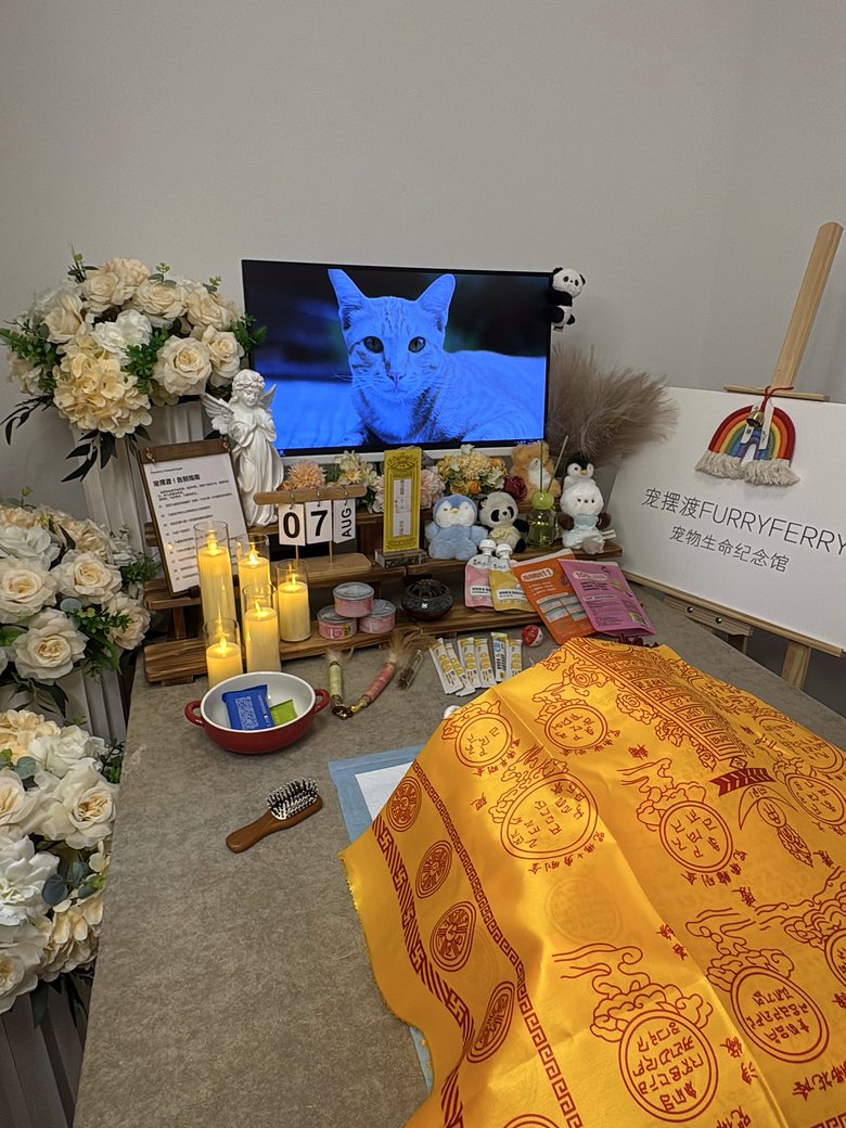 厦门宠物殡葬门店告别厅环境